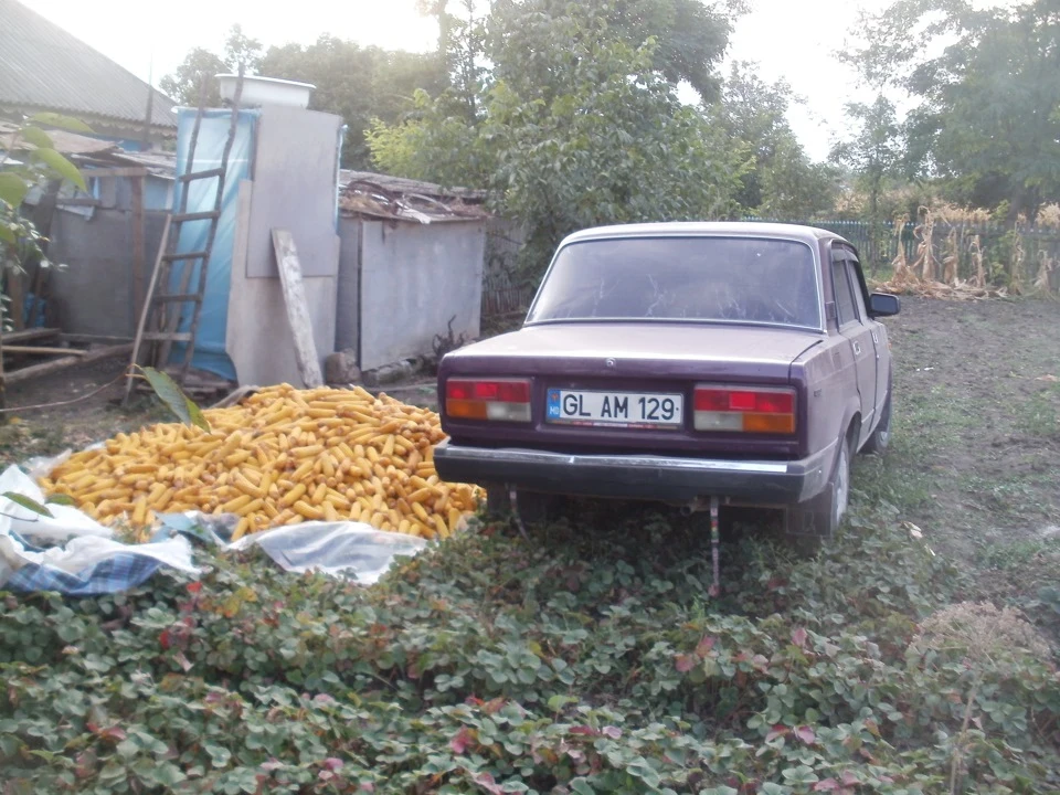 Дари полів