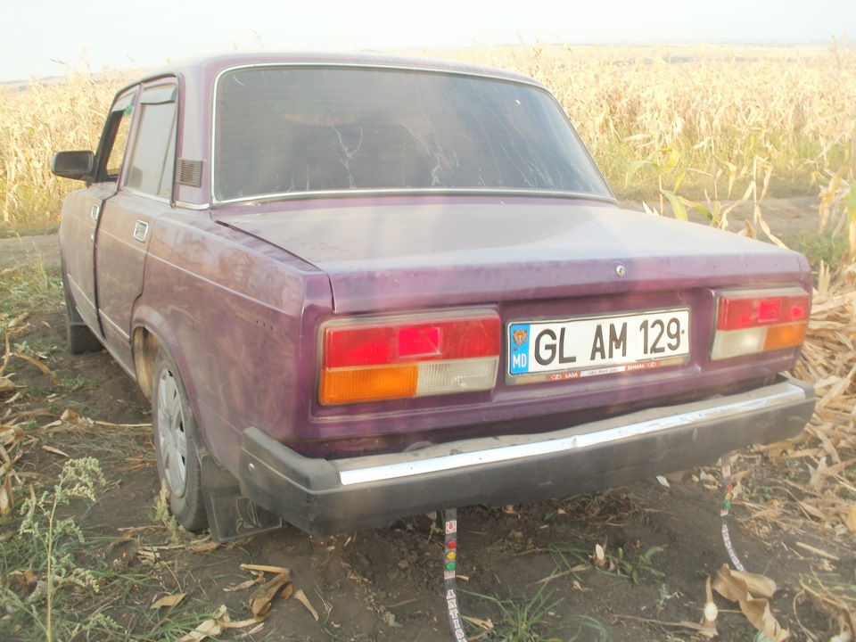 Дари полів 2