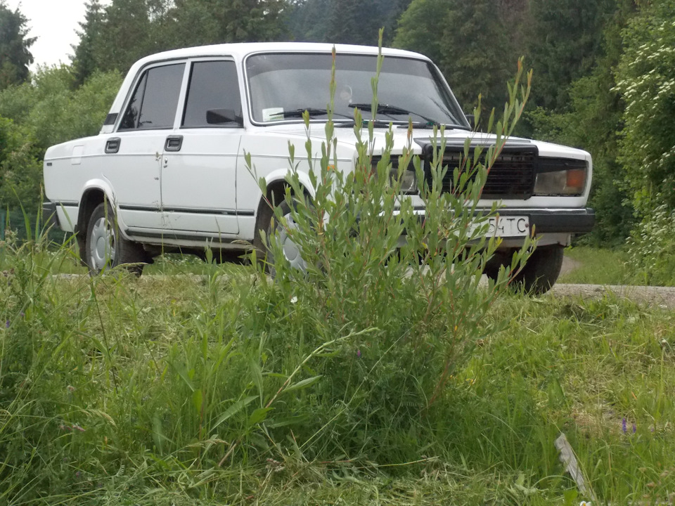 Зробив кілька фото. 2
