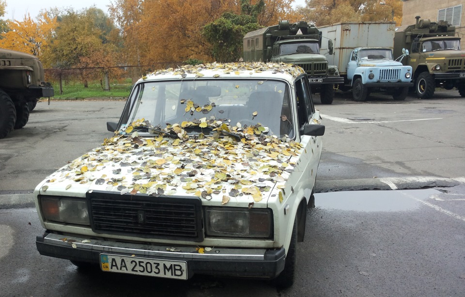 Про минуле за 3 місяці після оволодіння ваза 1