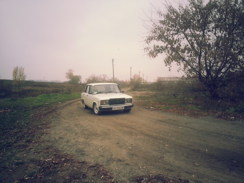 Просто фото 1