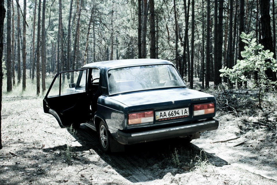 Трохи фотографій 4