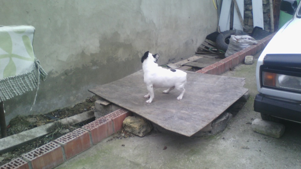 Пара фоток 3