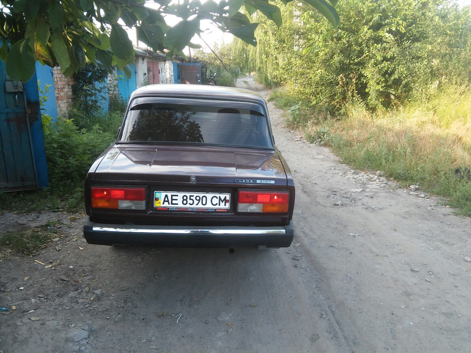 Дисулі 5