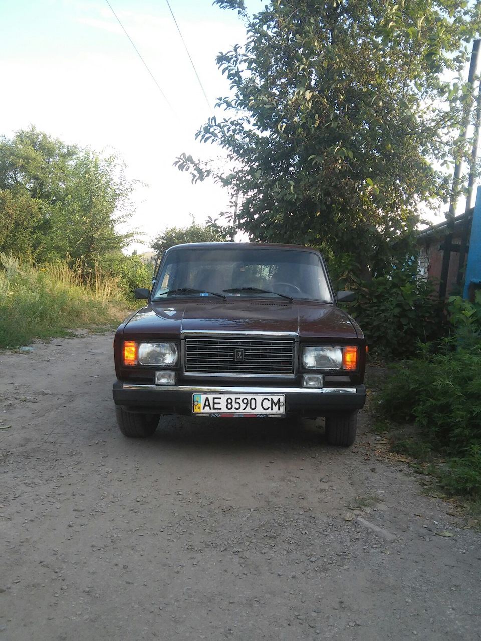 Дисулі 3