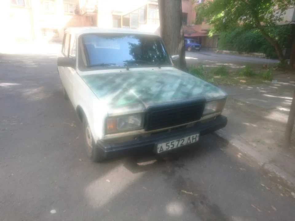 Бампера та грати