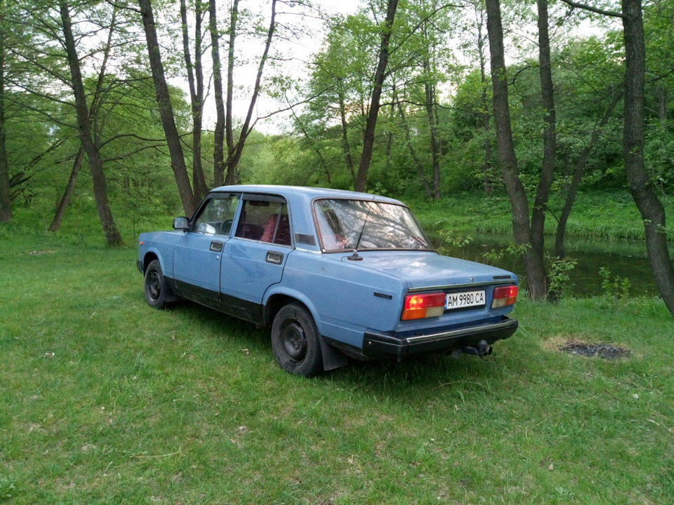 Вибралися на природу. 3