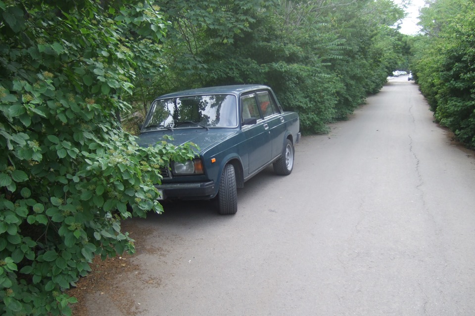 просто фотки 1