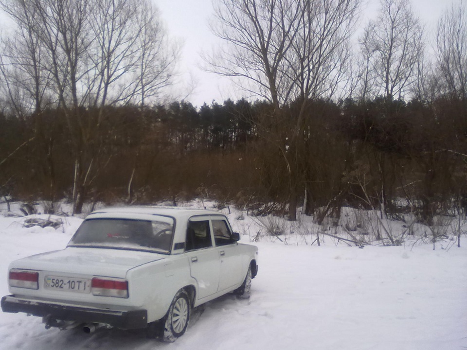 Зимовий фотосес 4