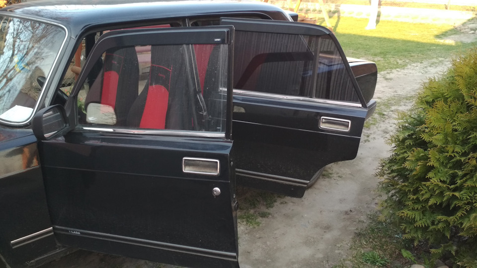 Чорні бархотки. 4
