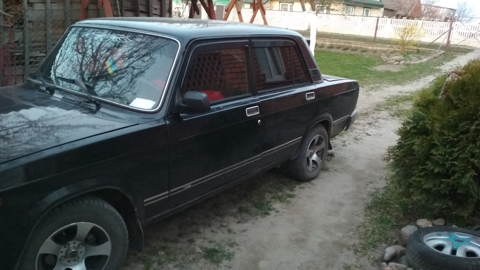 Чорні бархотки. 2