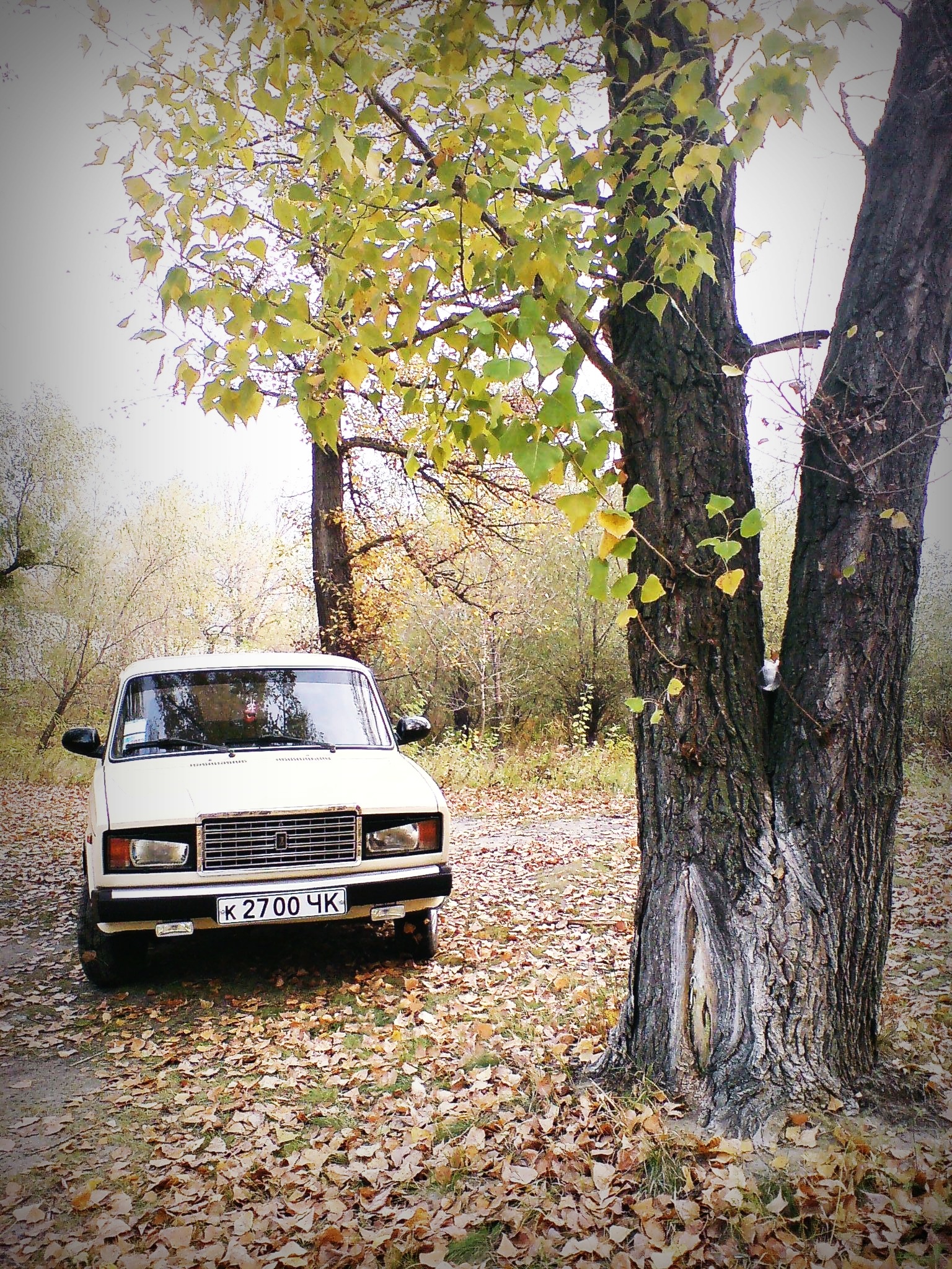 Осінній фотосет 3