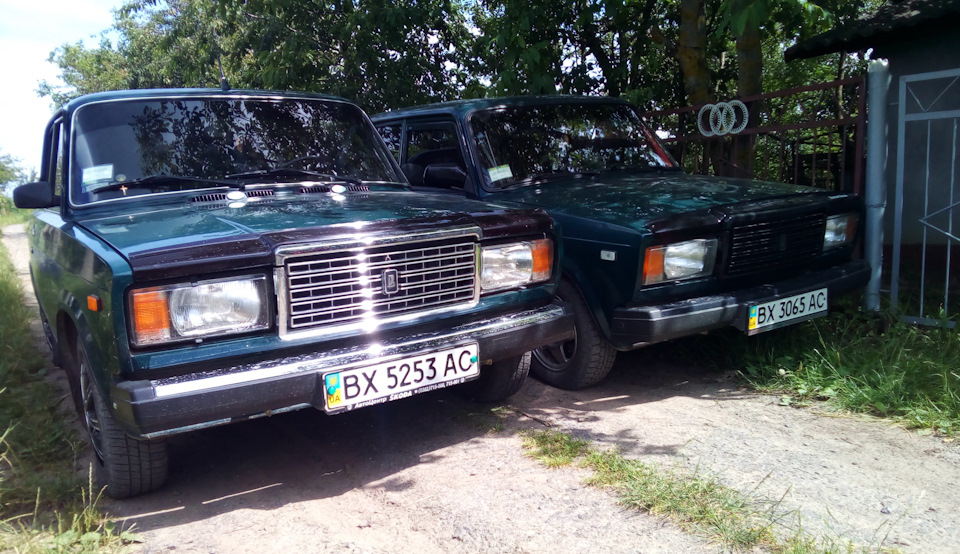 Зустрілися родичі 2