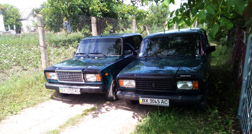 Зустрілися родичі 1