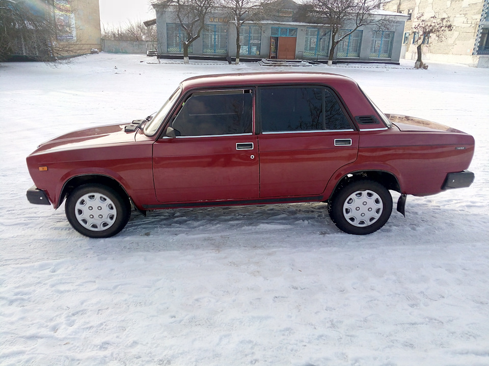 Красуня виросла. 1