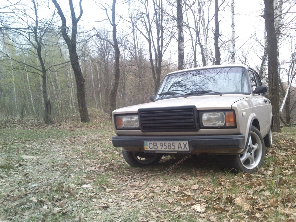 Просто фотки 1