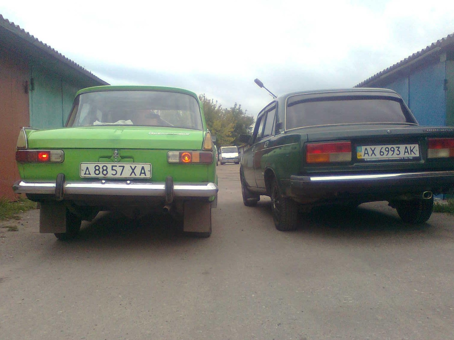 зеленкіііі 4