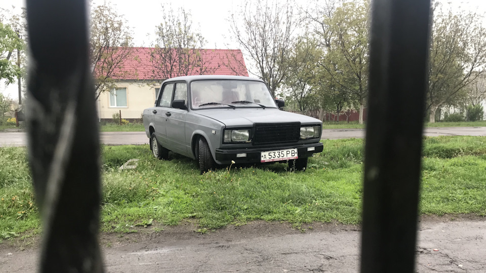 Знову в строю 4