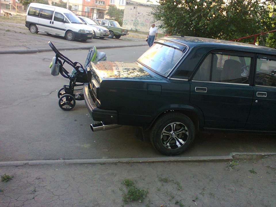 Дві ЖАБКИ нашого сімейства. 2
