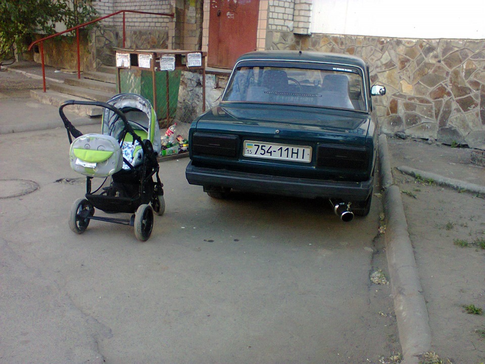Дві ЖАБКИ нашого сімейства. 1