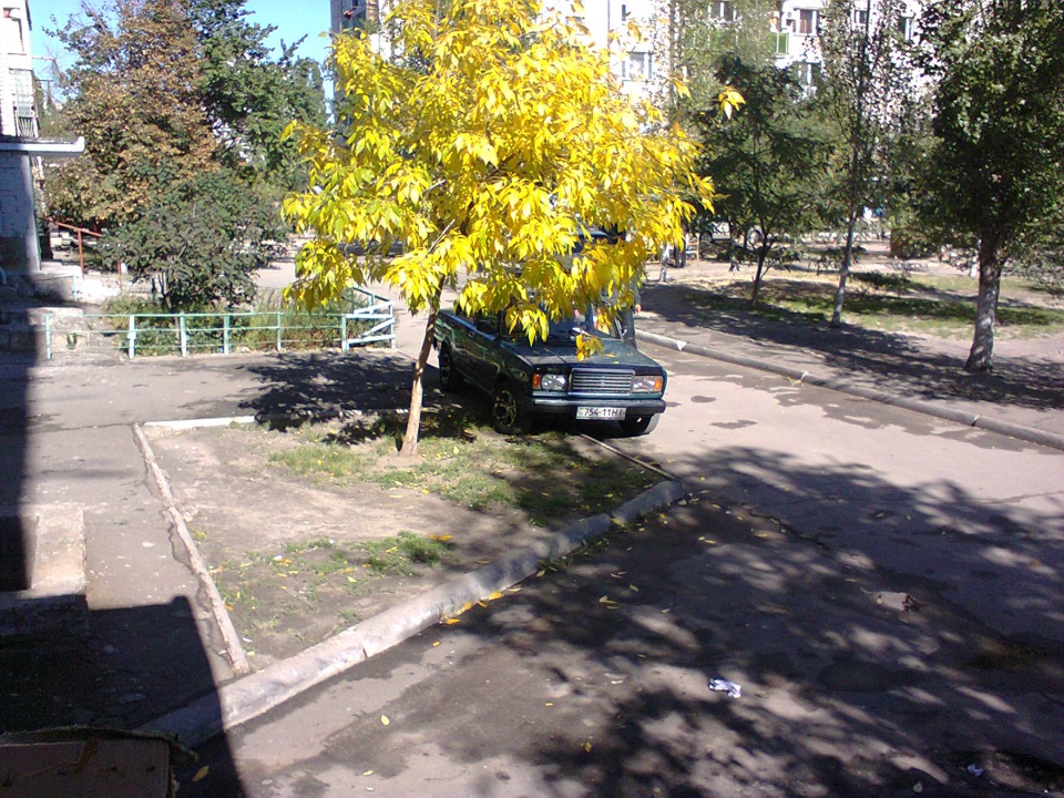 Радісні печальки (у фарбах , усунення вібрації). 5