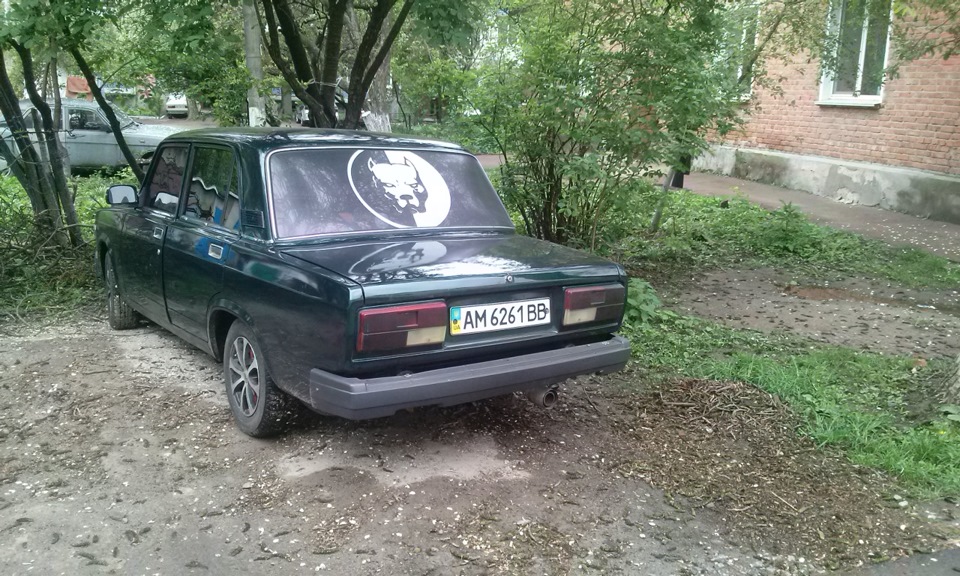пару фоток 3