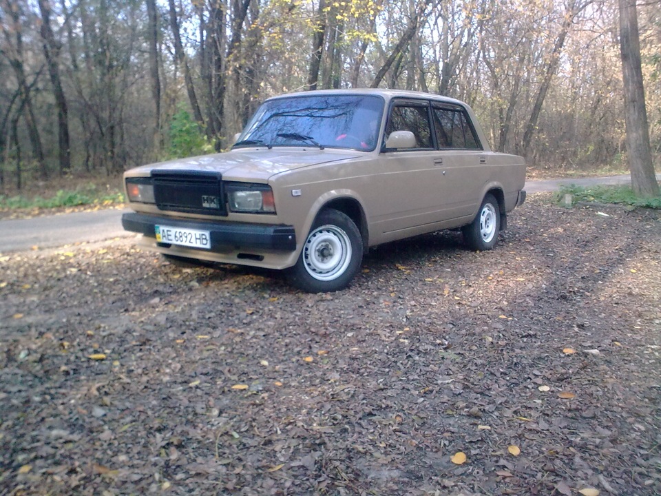 фотки в лісі 5