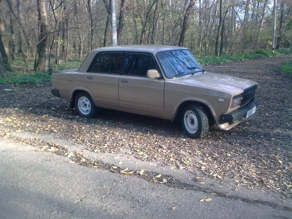 фотки в лісі