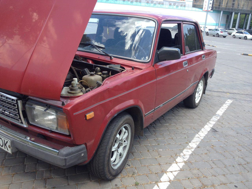 м'ятини 3
