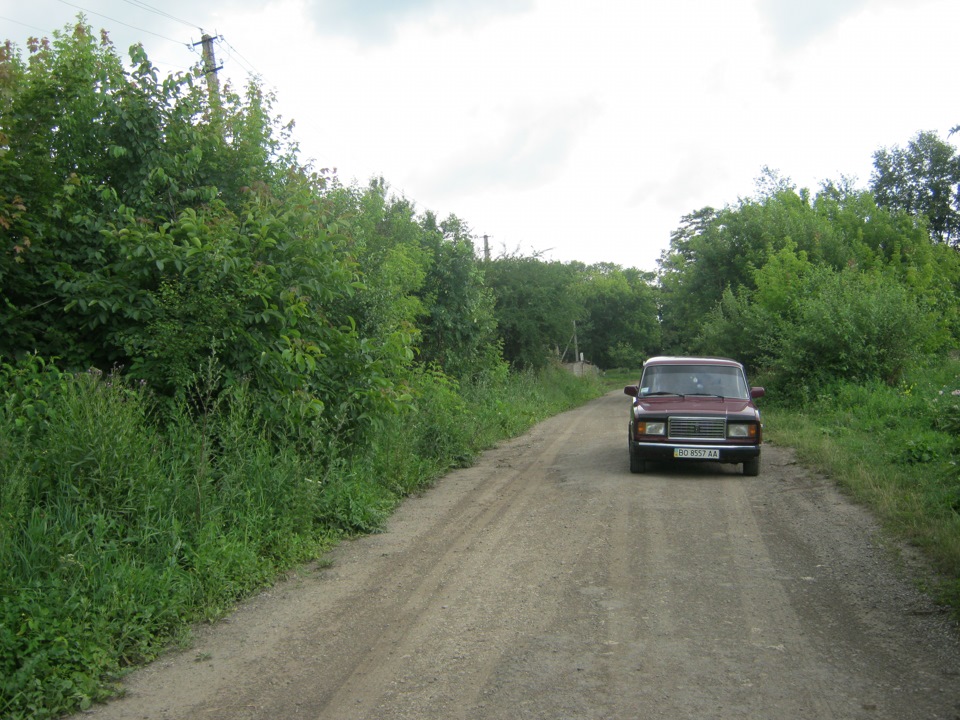 фотосес 1