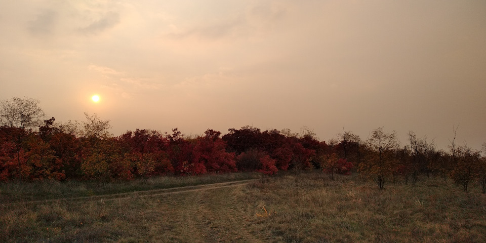 Осінь у злісті 4