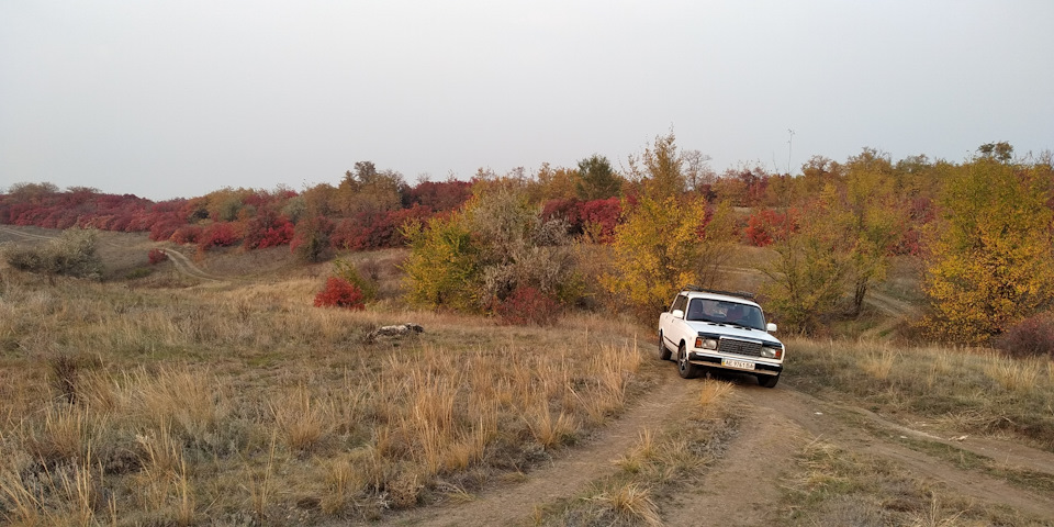 Осінь у злісті 5