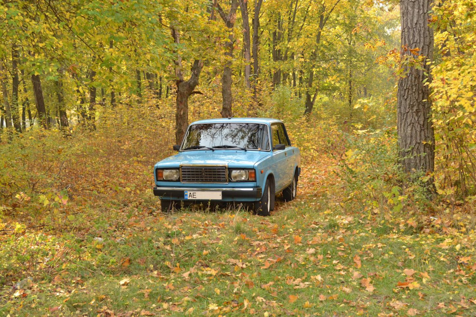 Фарби осені 3