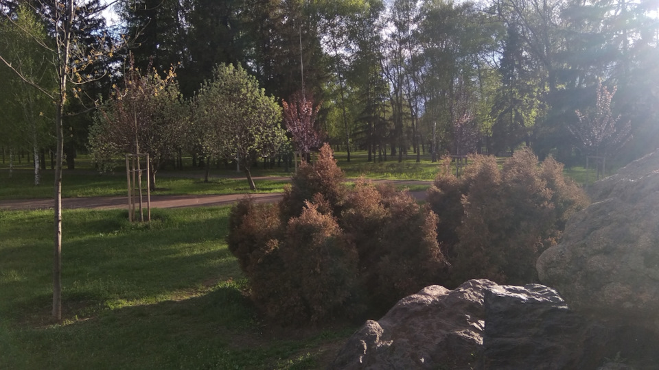 Травневі-2021, ч.2. Кривий Ріг)) 3
