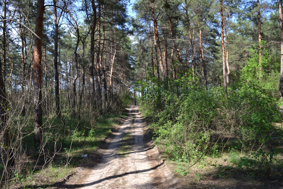 Травневі, продовження ... 4