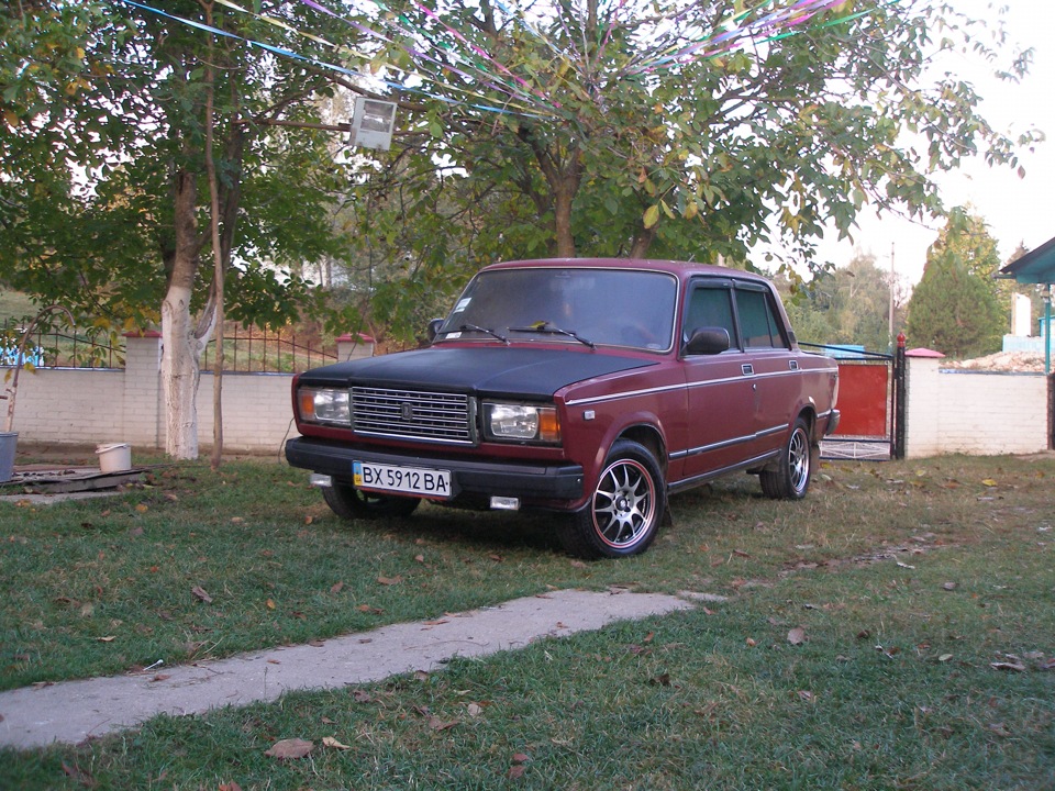 Нові фотки 3