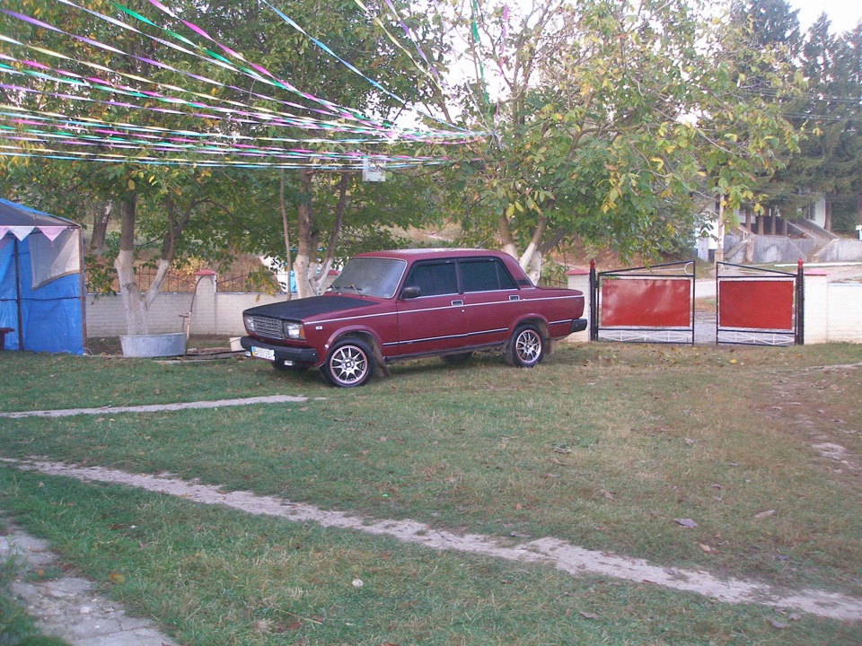 Нові фотки 4