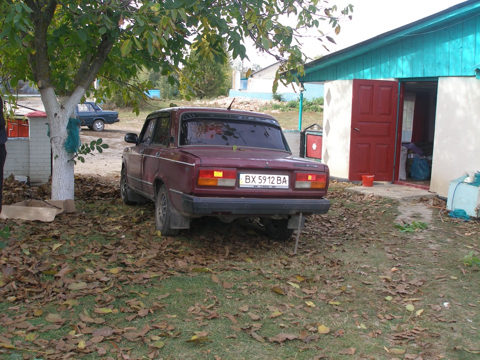 Нові фотки 2