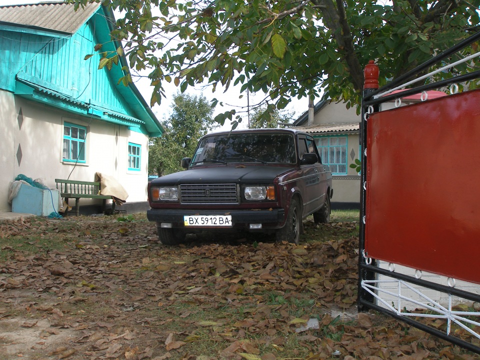 Нові фотки 1