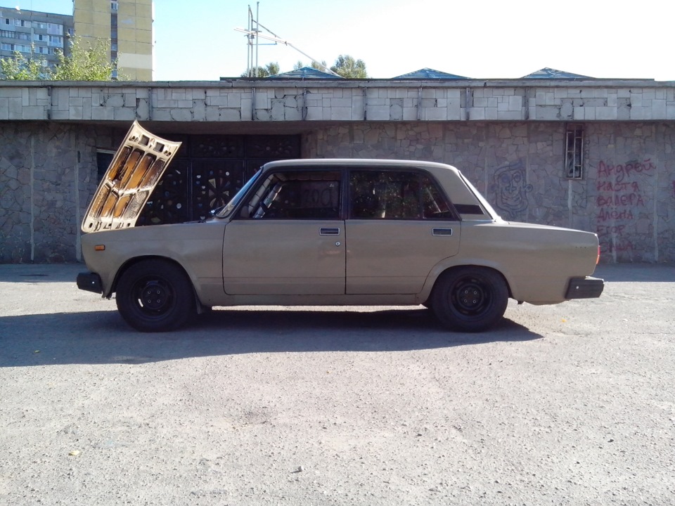 Віддам у добрі руки 4
