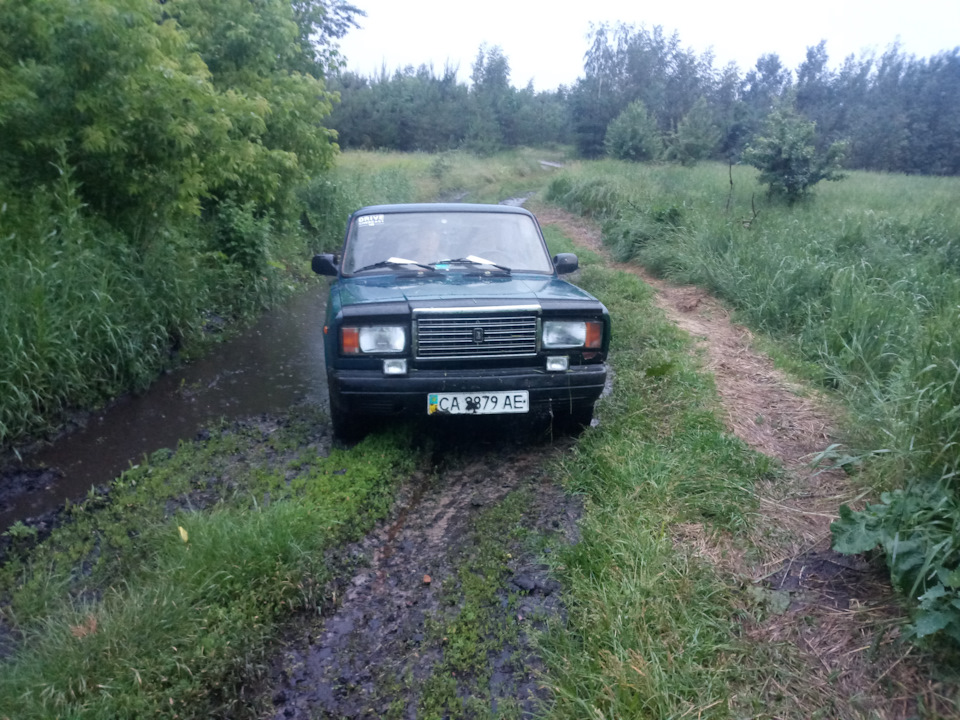 Поїздка до лісу за грибами)) 3