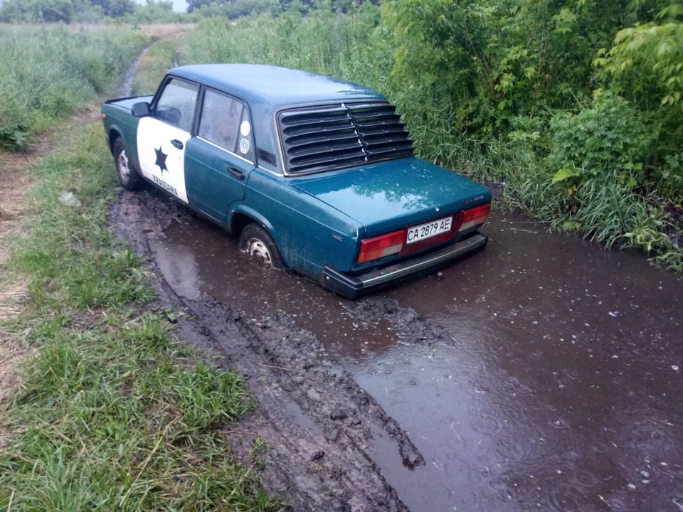 Поїздка до лісу за грибами)) 2