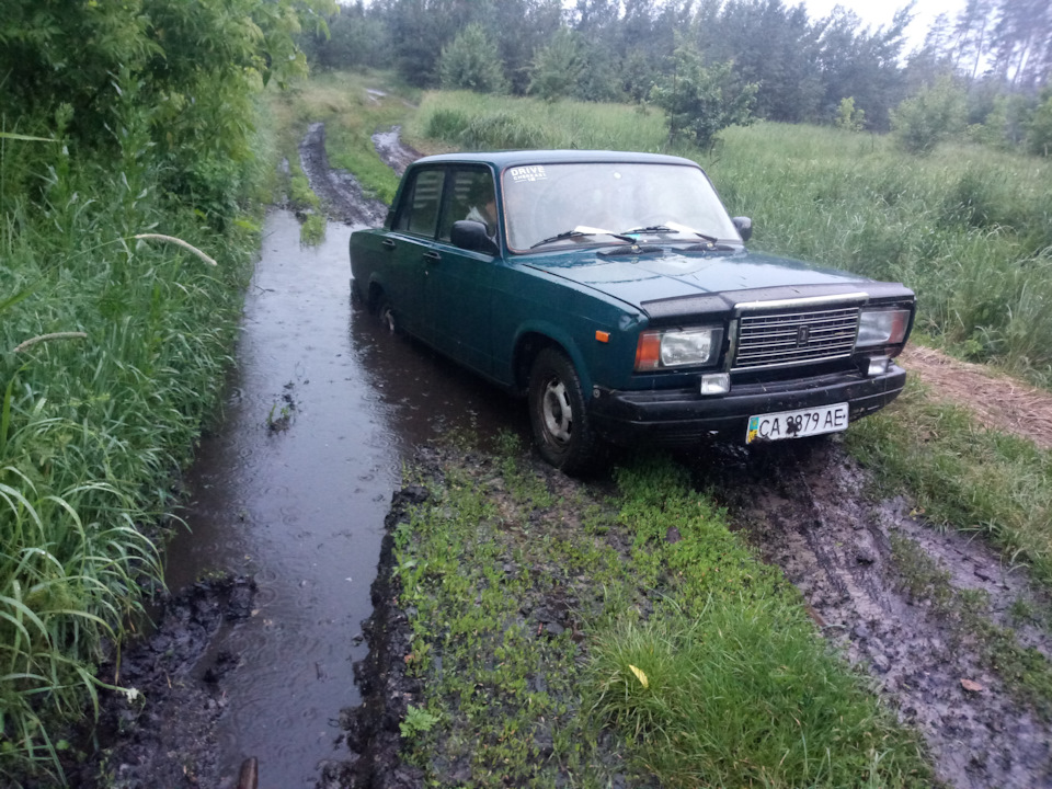 Поїздка до лісу за грибами)) 1