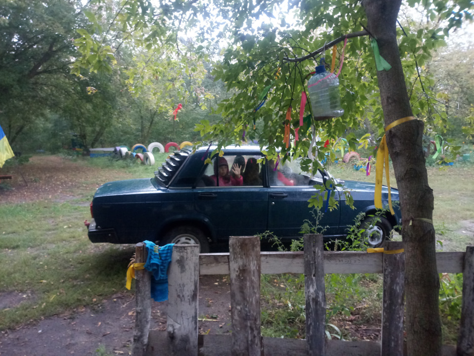 Просто сім'єю поїхали до лісу)) 3