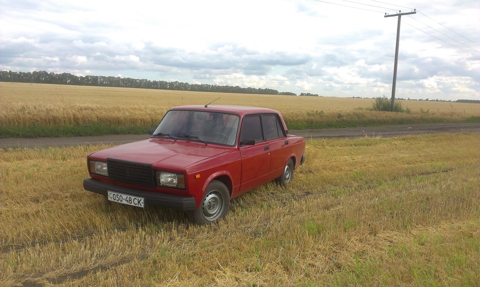 фото в полі 4