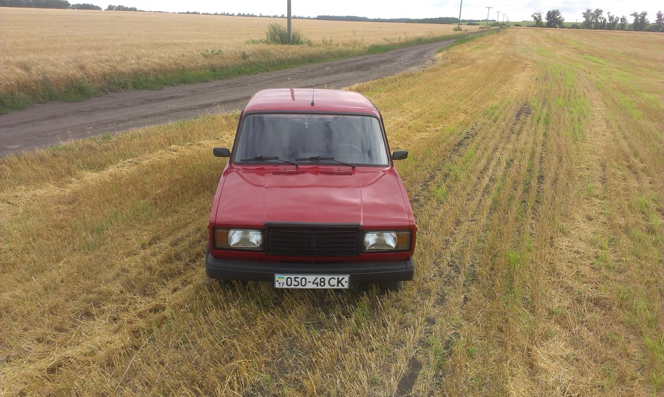 фото в полі 5