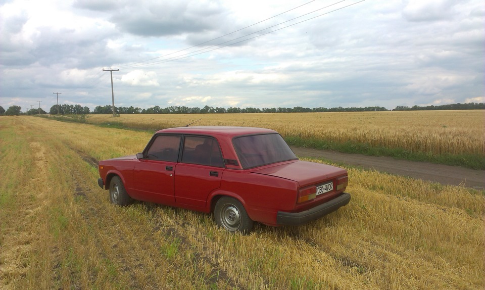 фото в полі 2