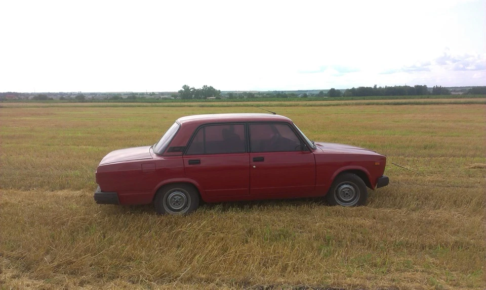 фото в полі