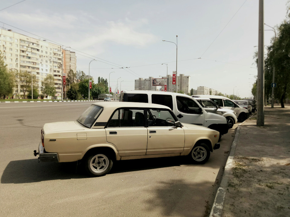 Нове літо! 5