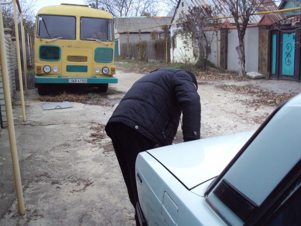 Зимуем! 2